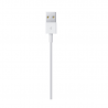 Apple Lightning a cable USB